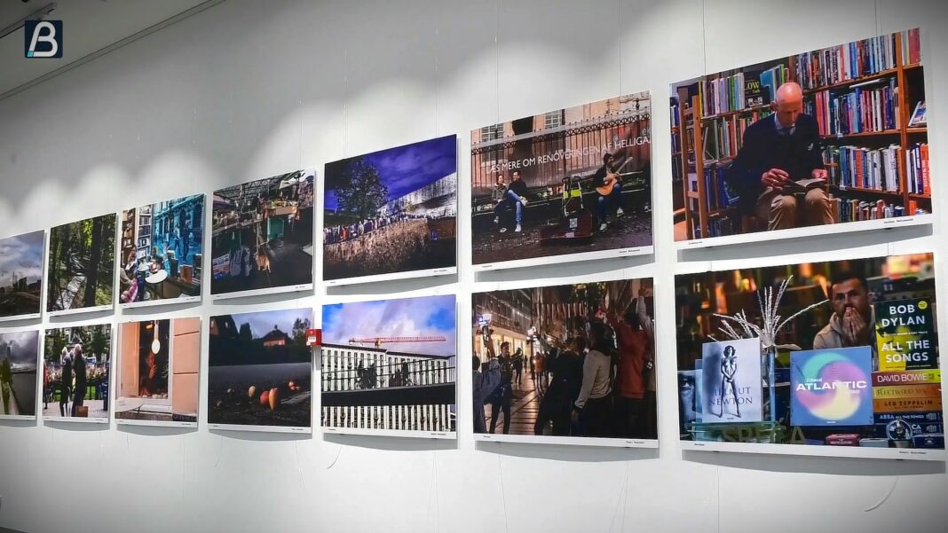 izlozba beograd kopanhagen 1