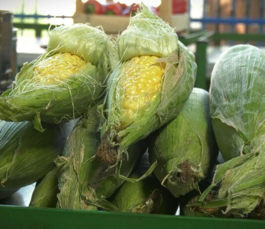 Ministarstvo poljoprivrede – Usvojeni Zakon o službenim kontrolama i Zakon o organskoj proizvodnji