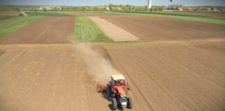 Ministarstvo poljoprivrede uvelo nove subvencije, preciziraju se pravila za stare