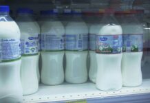 Palamarević: Trgovinski lanci neprijatelj broj 1, rešenje – prelevmani