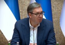 Vučić: Postoje tri opcije za NIS, 15. januar krajnji rok za rešenje