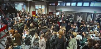 Blokada na Filozofskom fakultetu zbog otkaza Jeleni Kleut