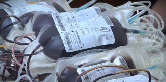 Institut za transfuziju: Nedostaju gotovo sve krvne grupe, stabilna samo AB pozitivna