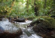 UN: Nije dovoljno reći da je kriza s vodom, već da je svet u globalnom bankrotu s vodnim resursima