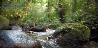 UN: Nije dovoljno reći da je kriza s vodom, već da je svet u globalnom bankrotu s vodnim resursima