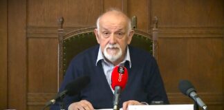 SANU: 2026. Godina akademika Aleksandra Belića