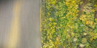 Akcija Društva za zaštitu i proučavanje ptica Srbije – Budi drug, podrži Slavujev lug