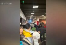 Dinko Gruhonjić o nasilju nad studentima, profesorima i građanima na Filozofskom fakultetu