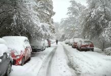 Intenzivno praćenje stanja u sektorima vodoprivrede i šumarstva