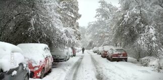 Intenzivno praćenje stanja u sektorima vodoprivrede i šumarstva