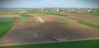 Ministarstvo poljoprivrede – Izmenama Uredbe do redovnije isplate podsticaja u agraru