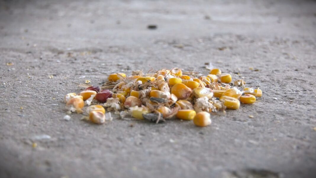 pretposlednja generacija poljoprivrednika