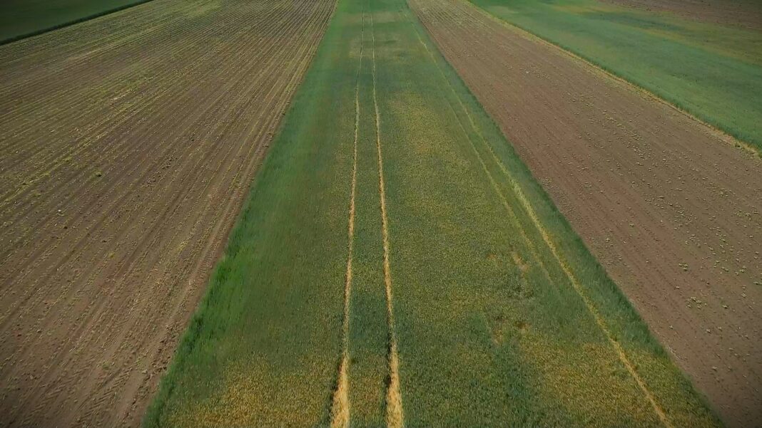 savetovanje agronoma