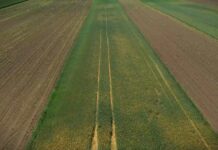 Savetovanje agronoma na Zlatiboru: Prehrambeni suverenitet u fokusu stručnjaka