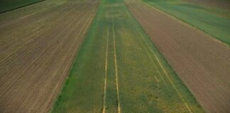 Savetovanje agronoma na Zlatiboru: Prehrambeni suverenitet u fokusu stručnjaka