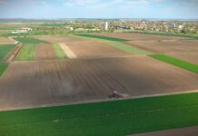 Vlada Srbije usvojila uredbu koja omogućava isplatu zaostalih premija za mleko