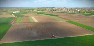 Vlada Srbije usvojila uredbu koja omogućava isplatu zaostalih premija za mleko