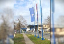 Građani Beočina, Sremskih Karlovaca i Temerina predali peticiju, traže smanjenje cena prevoza