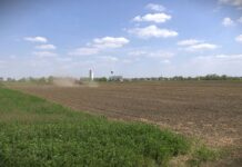 Ministarstvo poljoprivrede: Objavljen kalendar svih podsticaja za 2026. godinu