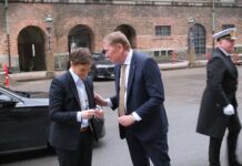 Brnabić: Sa predsednikom danskog parlamenta razgovarala sam otvoreno o slobodi medija u Srbiji