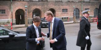 Brnabić: Sa predsednikom danskog parlamenta razgovarala sam otvoreno o slobodi medija u Srbiji