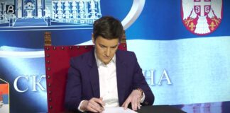Brnabić raspisala izbore u devet jedinica lokalne samouprave za 29. mart