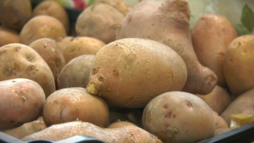 cene voca i povrca pijace