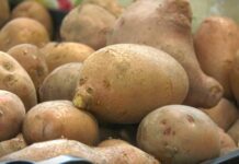 Cene voća i povrća na pijacama variraju: jabuke skuplje, jeftinije pojedine povrtarske kulture!