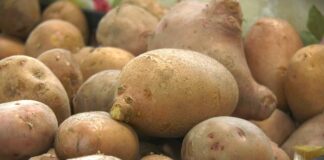 Cene voća i povrća na pijacama variraju: jabuke skuplje, jeftinije pojedine povrtarske kulture!