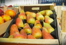 Cene voća i povrća: dobra ponuda na pijacama, cene variraju u zavisnosti od grada!