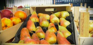 Cene voća i povrća: dobra ponuda na pijacama, cene variraju u zavisnosti od grada!