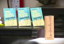 Nagrada „Duško Radović“ romanu „Sto posto tuđa posla“ Olivere Zulović