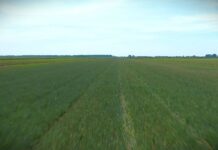 Ostaju subvencije na površine do 100 hektara po gazdinstvu