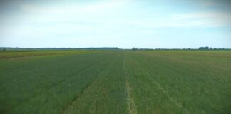 Ostaju subvencije na površine do 100 hektara po gazdinstvu