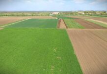 Subvencionisani krediti za gazdinstva do 6 miliona dinara, javni poziv krajem nedelje