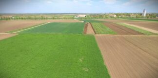 Subvencionisani krediti za gazdinstva do 6 miliona dinara, javni poziv krajem nedelje