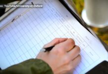 Šuma je zagađenija mikroplastikom od grada – Do 99% pronađenih čestica nevidljivo ljudskom oku