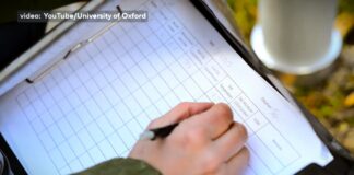 Šuma je zagađenija mikroplastikom od grada – Do 99% pronađenih čestica nevidljivo ljudskom oku