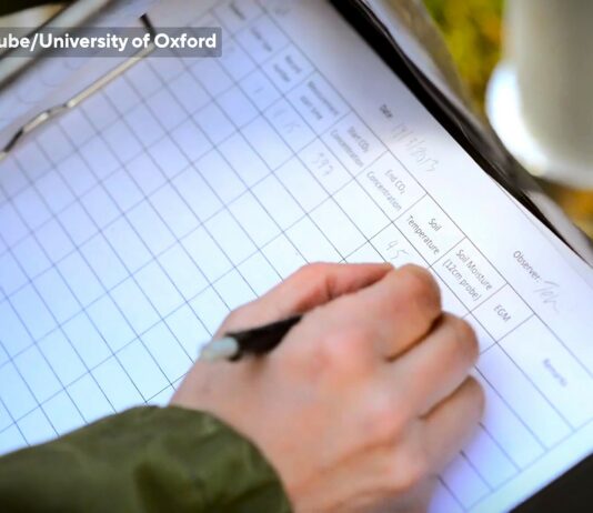 Šuma je zagađenija mikroplastikom od grada – Do 99% pronađenih čestica nevidljivo ljudskom oku