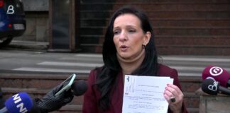 Tepić krivično goni Vučevića: Kojim novcem je plaćen privatni let za porodični odmor u Grčkoj