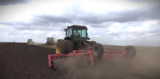 Raspisan javni poziv za subvencije poljoprivrednicima u iznosu od 18.000 dinara po hektaru