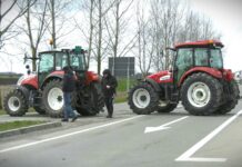 Milan Pajić iz Udruženja „Naše mleko“: Što se nas tiče nikakav dogovor nije postignut