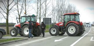 Milan Pajić iz Udruženja „Naše mleko“: Što se nas tiče nikakav dogovor nije postignut