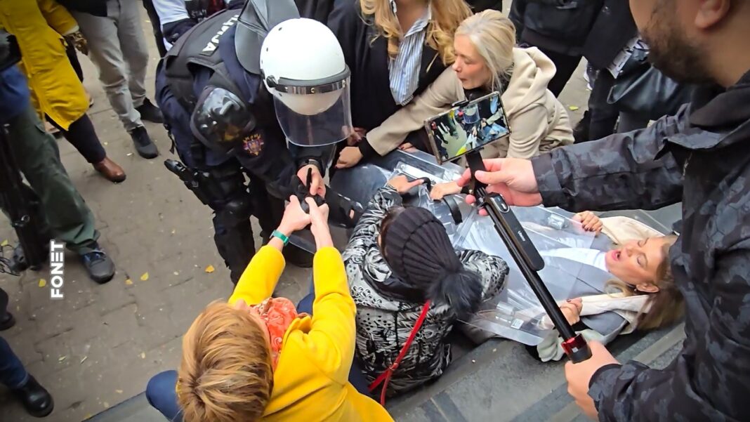 NS narodne poslanice