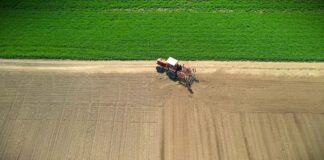 SANU poručuje: „Srpskim domaćinima nije mesto u zatvoru!“