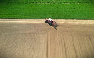 SANU poručuje: „Srpskim domaćinima nije mesto u zatvoru!“