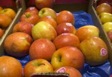 Cene voća i povrća na pijacama: Jagoda jeftinija, porasla cena paradajza