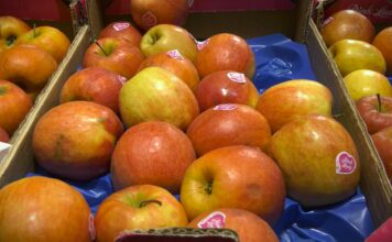 Cene voća i povrća na pijacama: Jagoda jeftinija, porasla cena paradajza