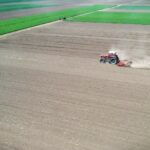 Jare žitarice, setva u proleće u martu mesecu