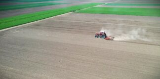 Jare žitarice, setva u proleće u martu mesecu